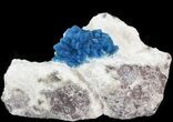 Beautiful Blue Cavansite Crystals on Mordenite - India #43834-1